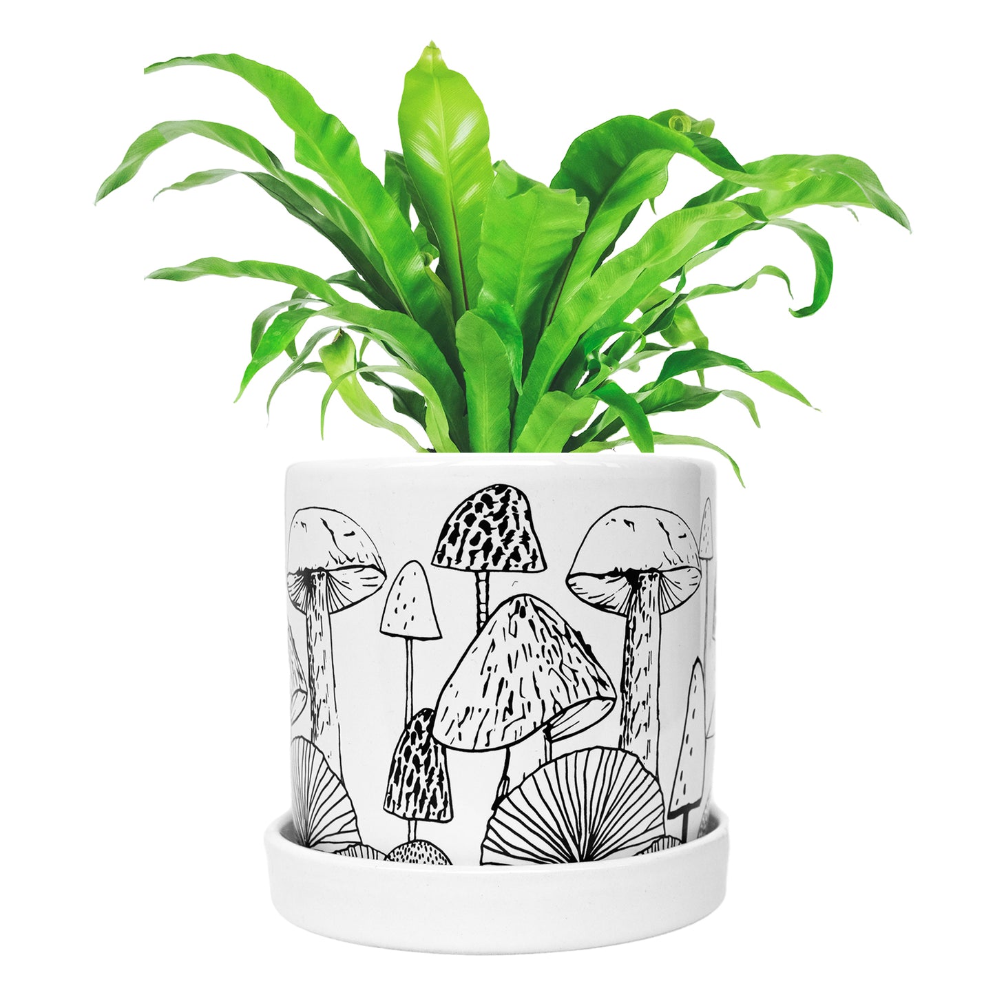 QGWJEKUI Mushroom Decor Planter Pot, Handmade Pots for Plants Flowers Indoor